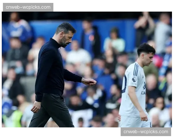 评论:为追求效率,简单传中战术在英超保级队中回潮 评论:为追求效率,简单传中战术在英超保级队中回潮